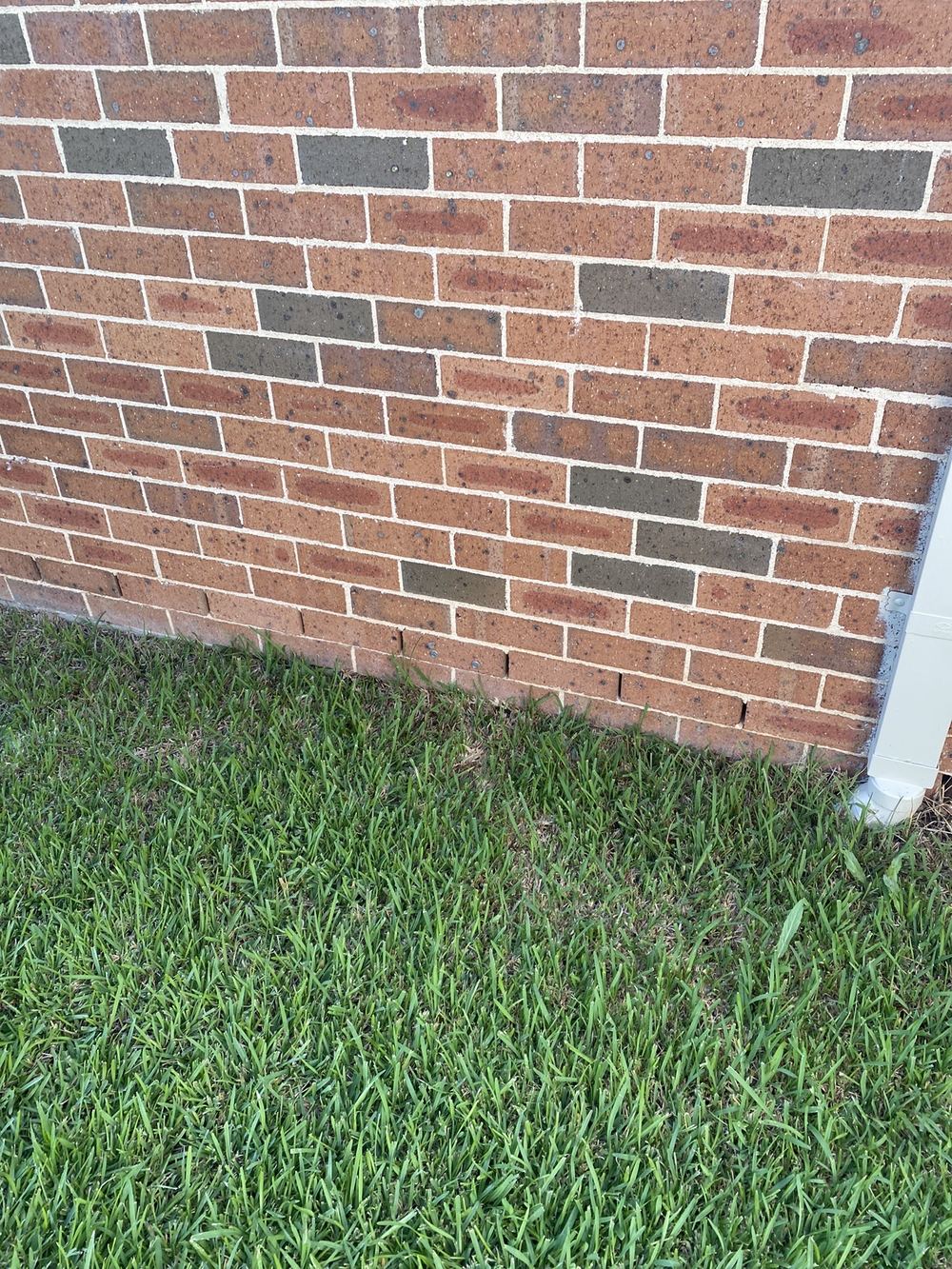 Soil built up against the brickwork above the safe clearance, found during a building and pest inspection in Horningsea Park