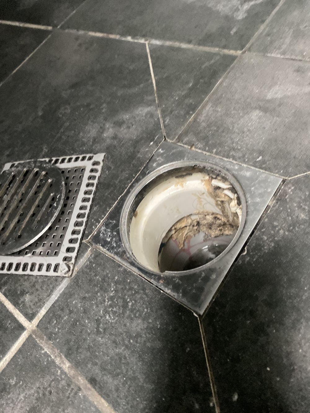 Shower floor above the stained pantry, checked for the leak path, found during a defect investigation in Holsworthy